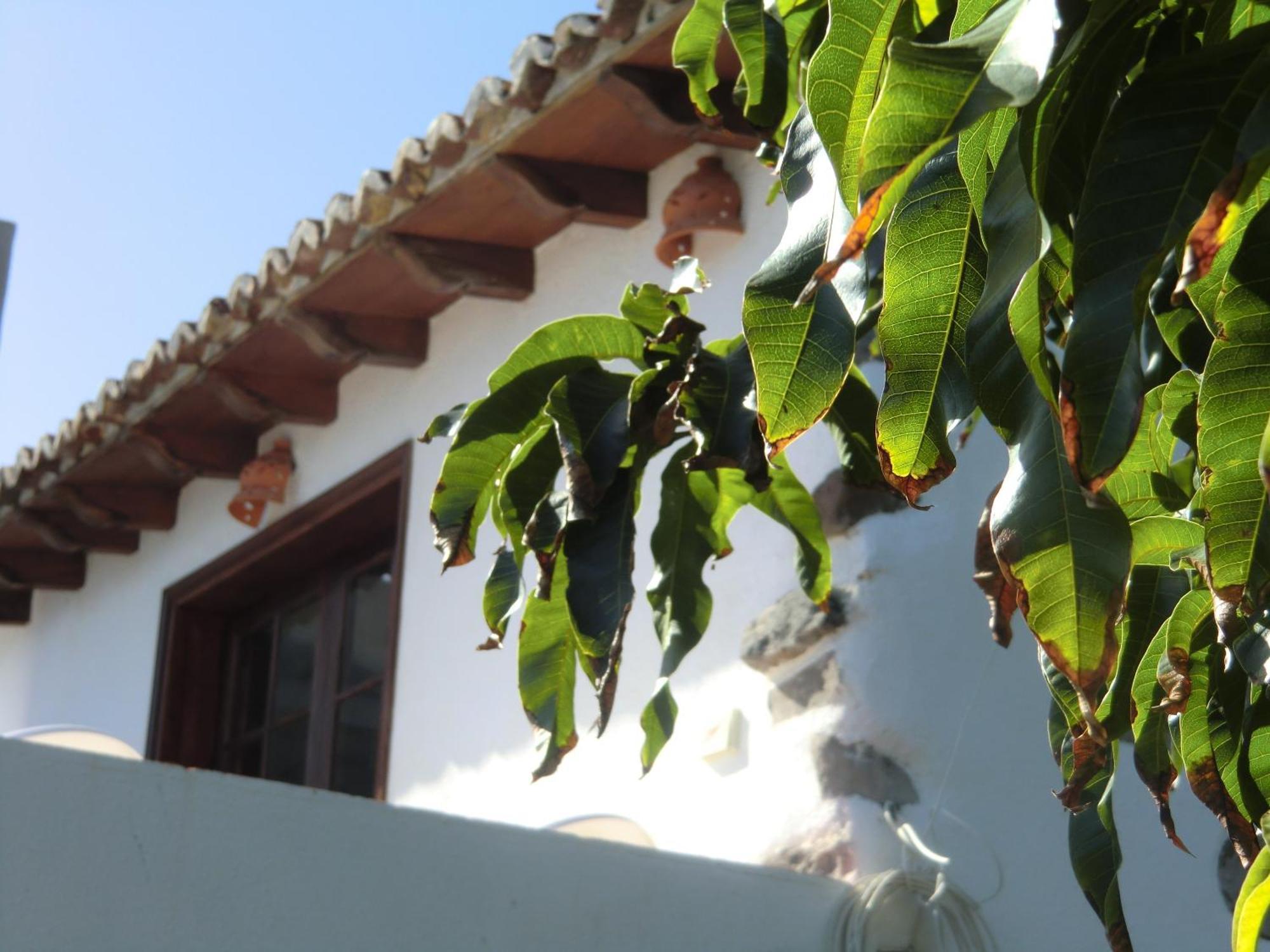Villa Delfines Agulo Εξωτερικό φωτογραφία